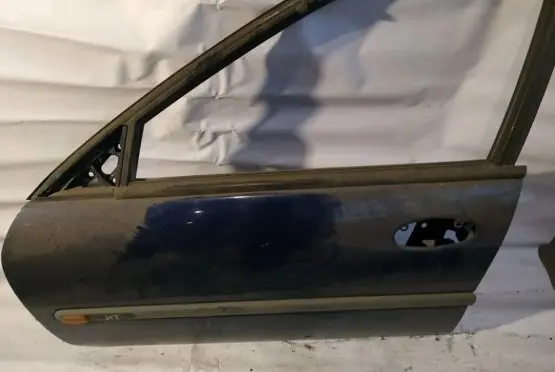 Renault Laguna I Front door melynos
