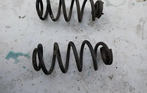 Rear coil spring