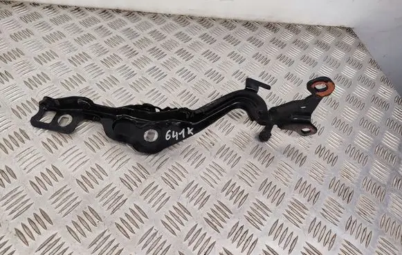 Ford Mustang Mach-E Engine bonnet/hood hinges LJ8BR16C965AE