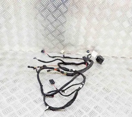 Other wiring loom