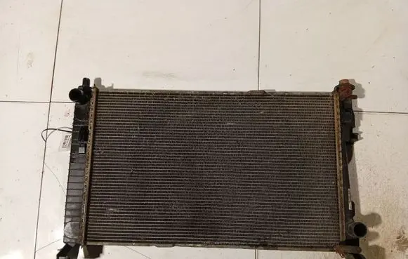 Mercedes-Benz B W245 Coolant radiator A1695000703