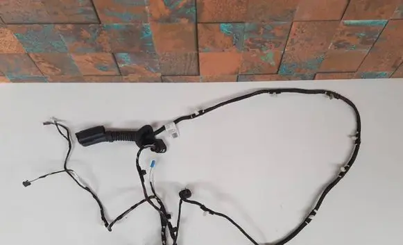 BMW X3 G01 Rear door wiring loom 5A49001 5A49005 61125A49005