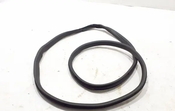 Dacia Duster Front door rubber seal 769229398R