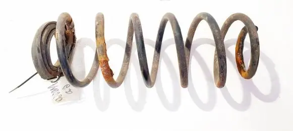 Rear coil spring
