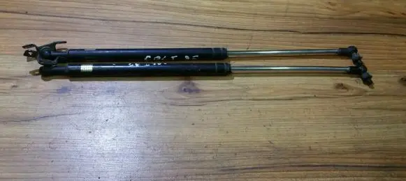 Tailgate/trunk strut/damper
