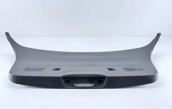 BMW 1 F20 F21 Tailgate trim 7239905 15054410 30E00816