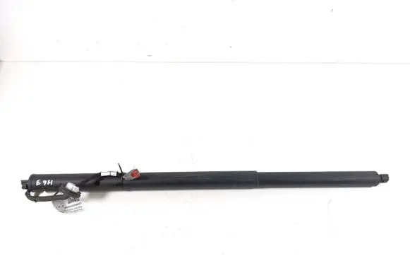 Ford Mach-E I Tailgate strut LJ8BR402A54AD