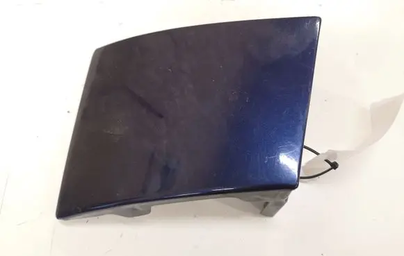 Rear/tail light trim molding