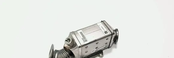 Renault Scenic I Other engine bay part 55268286