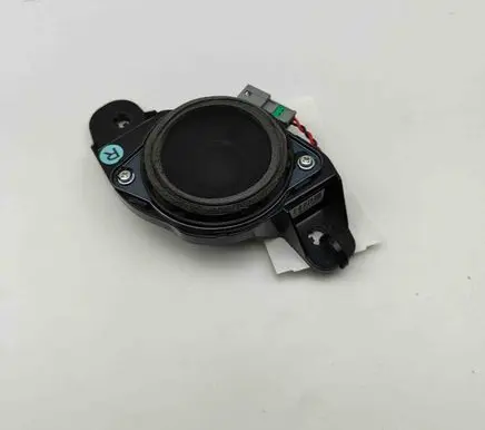 Panel speaker