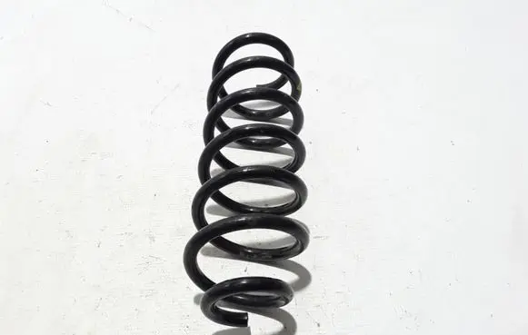 Renault Kadjar Rear coil spring 55020HV60B