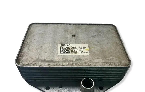 Porsche Cayenne (9Y0 9Y3) Oil filter mounting bracket 06M117015M