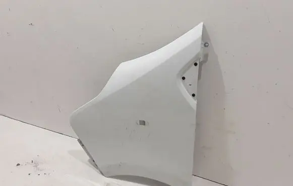 Renault Trafic III (X82) Fender 631014989R