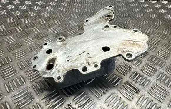 Opel Insignia A Engine oil radiator 55486899