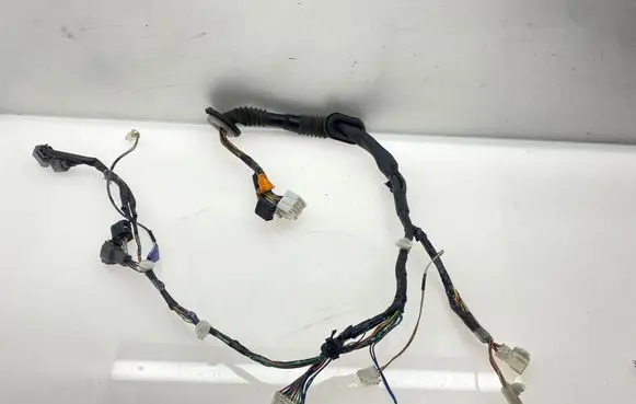 Front door wiring loom