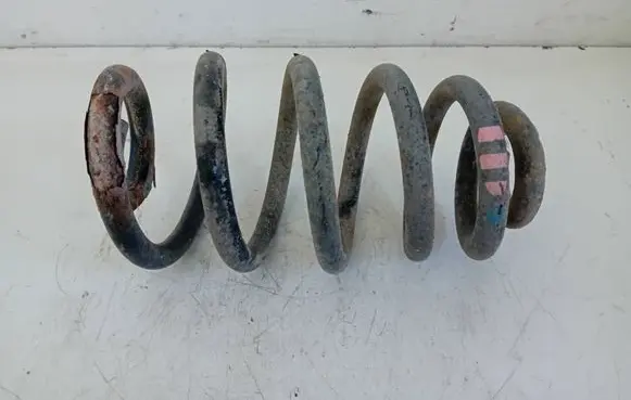 Rear coil spring