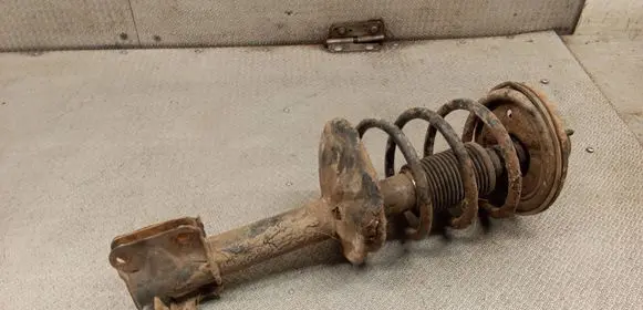 Mitsubishi Pajero Pinin Front shock absorber with coil spring 
