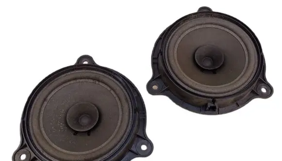 Nissan Pathfinder R51 Rear door speaker