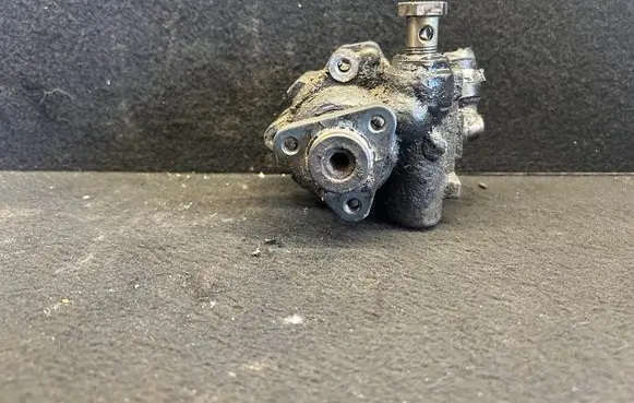 Volkswagen PASSAT B5.5 Power steering pump