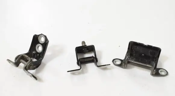 Nissan Juke I F15 Rear door lower hinge