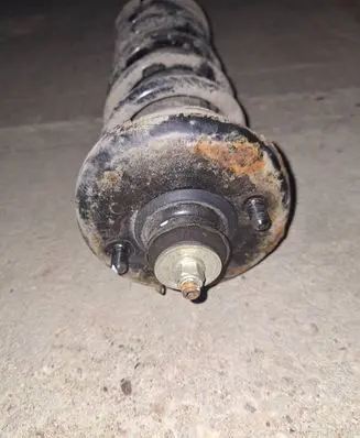 Honda Accord Rear shock absorber with coil spring 