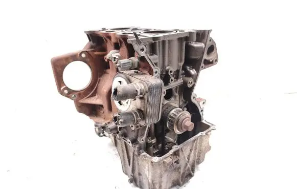 Ford Grand C-MAX Engine swap M1DD