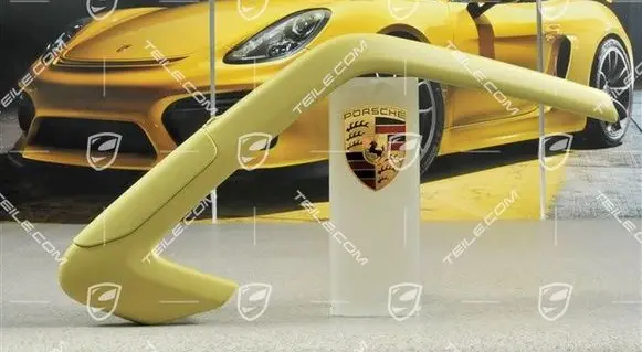 Porsche Cayman 981 Parcel shelf load cover 98155553300OU3