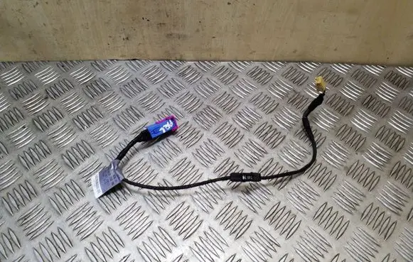 Front door wiring loom