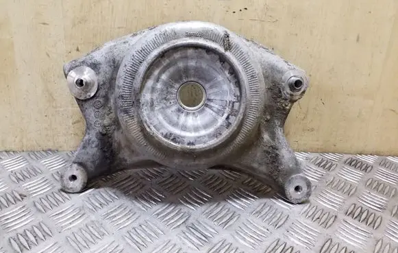 Coil spring mount