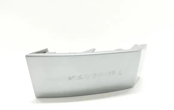 Rear/tail light trim molding