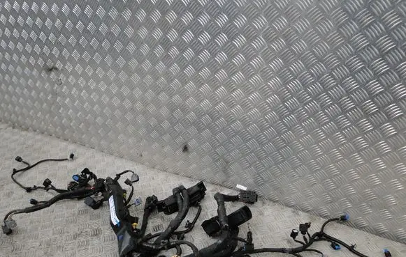 KIA Niro Other wiring loom 