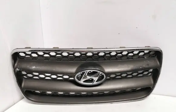Hyundai Santa Fe Front bumper upper radiator grill E865612B010