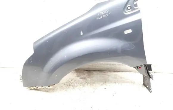 Renault Koleos I Fender
