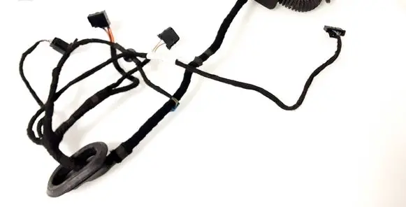 Volkswagen PASSAT B7 USA Rear door wiring loom 561971693AC