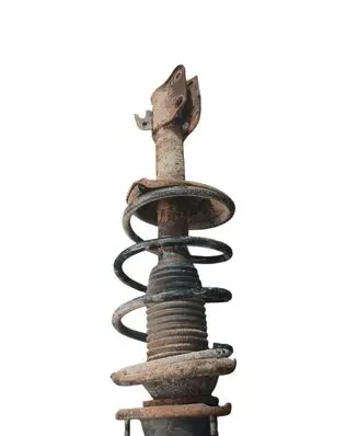 Subaru Forester SG Front shock absorber with coil spring 