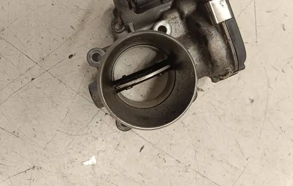 Throttle body valve