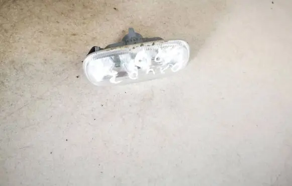 Front fender indicator light