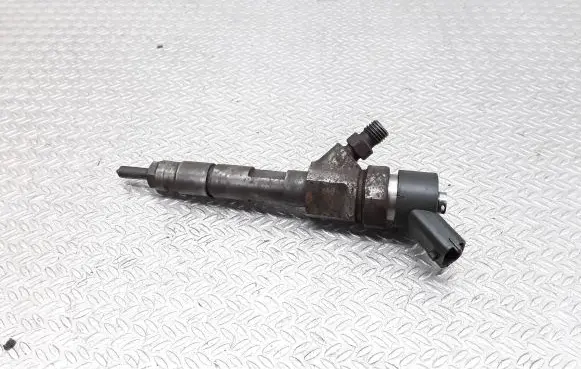 Renault Megane II Fuel injector 0445110110B