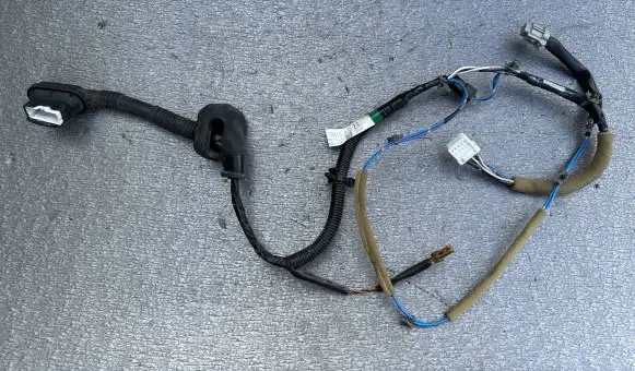 Rear door wiring loom