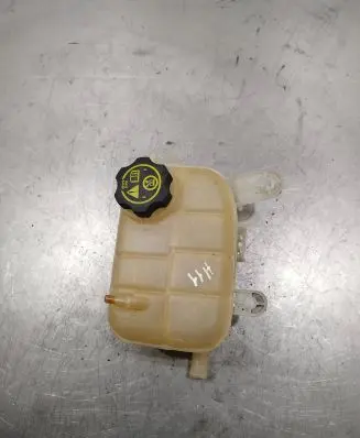 Opel Mokka Coolant expansion tank/reservoir 95380033