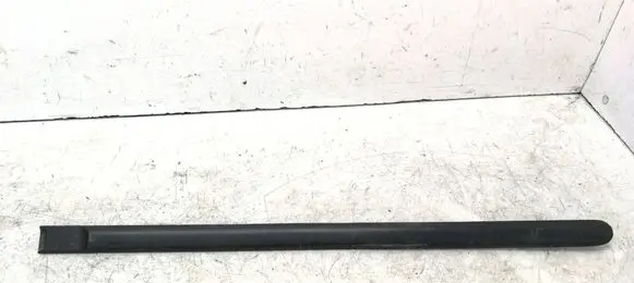 Rear door trim (molding)
