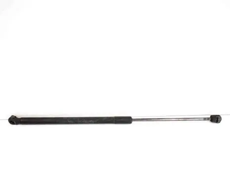 Tailgate/trunk strut/damper