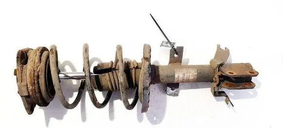 Renault Clio III Front shock absorber/damper 314736
