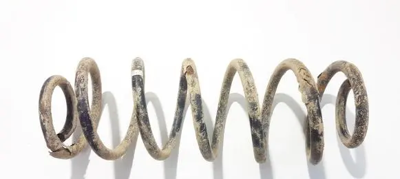 Volkswagen Golf V Rear coil spring