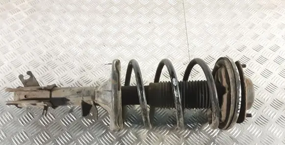 Hyundai Santa Fe Front shock absorber with coil spring 5465026600