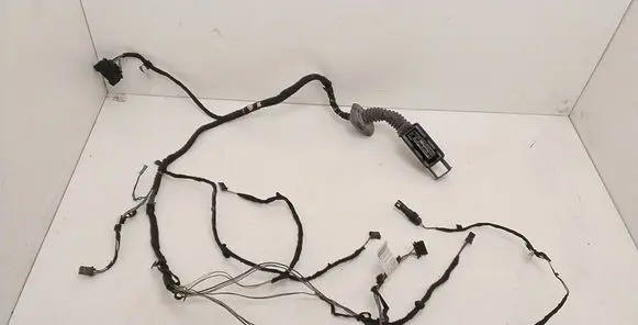 BMW 1 F20 F21 Front door wiring loom 9286168 10042012B