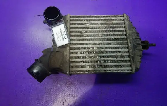 Fiat Punto (188) Intercooler radiator