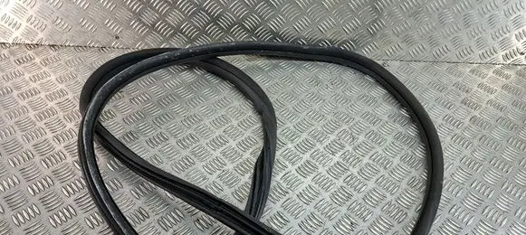 Citroen C4 Cactus Front door rubber seal 