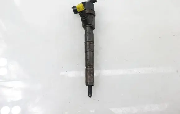 Fiat Croma Fuel injector 0445110243