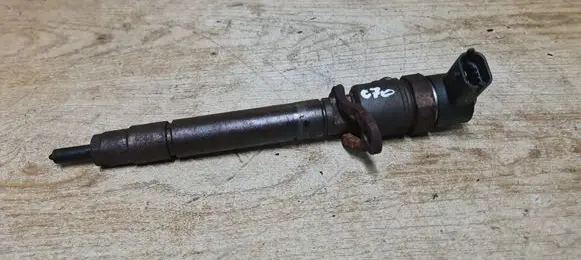 Volvo C70 Fuel injector 0445110298